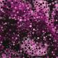 Preview: Baumwoll Jersey Punkte in Lila-Pink Tönen
